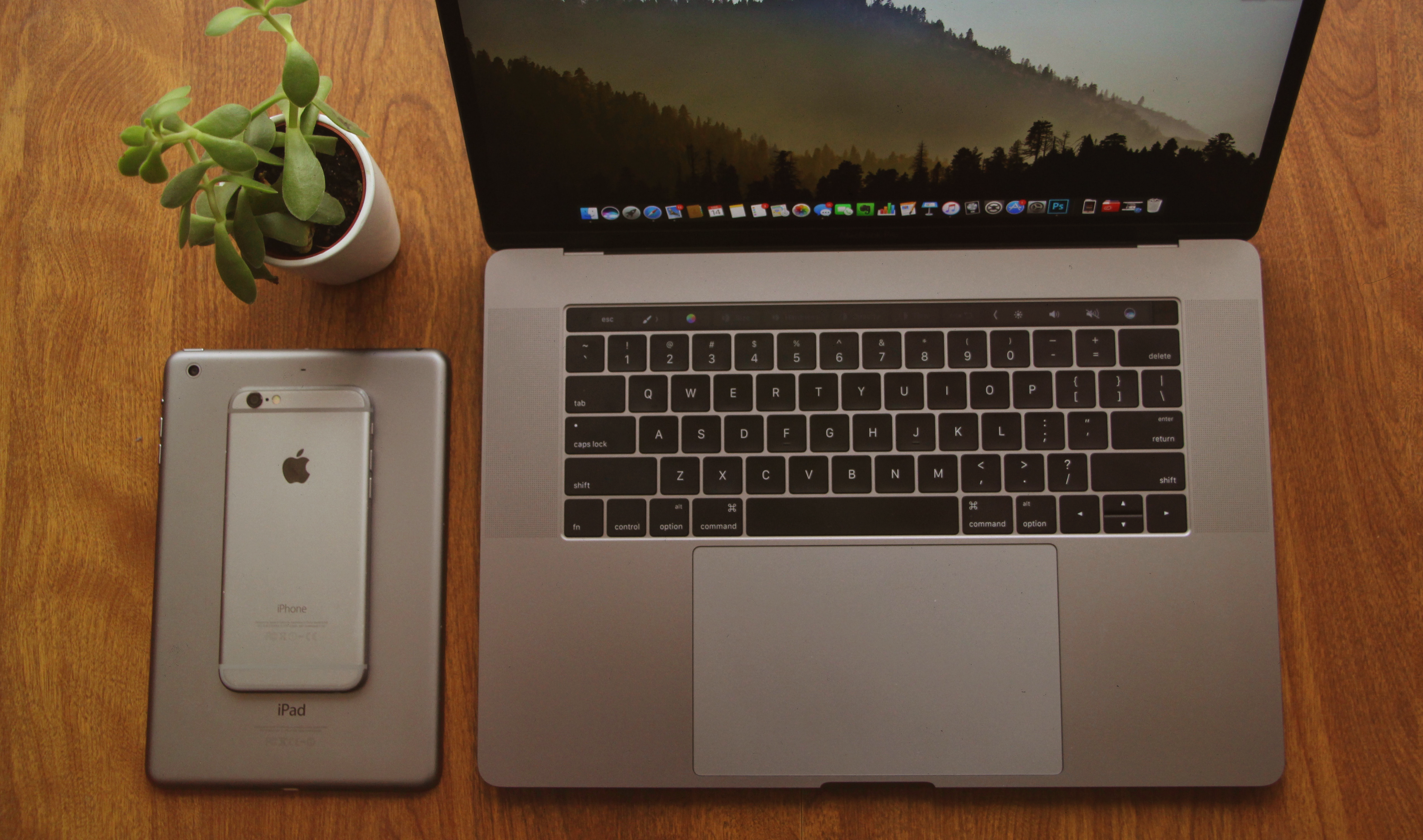 Free Unsplash photo from Marco Gugliucciello