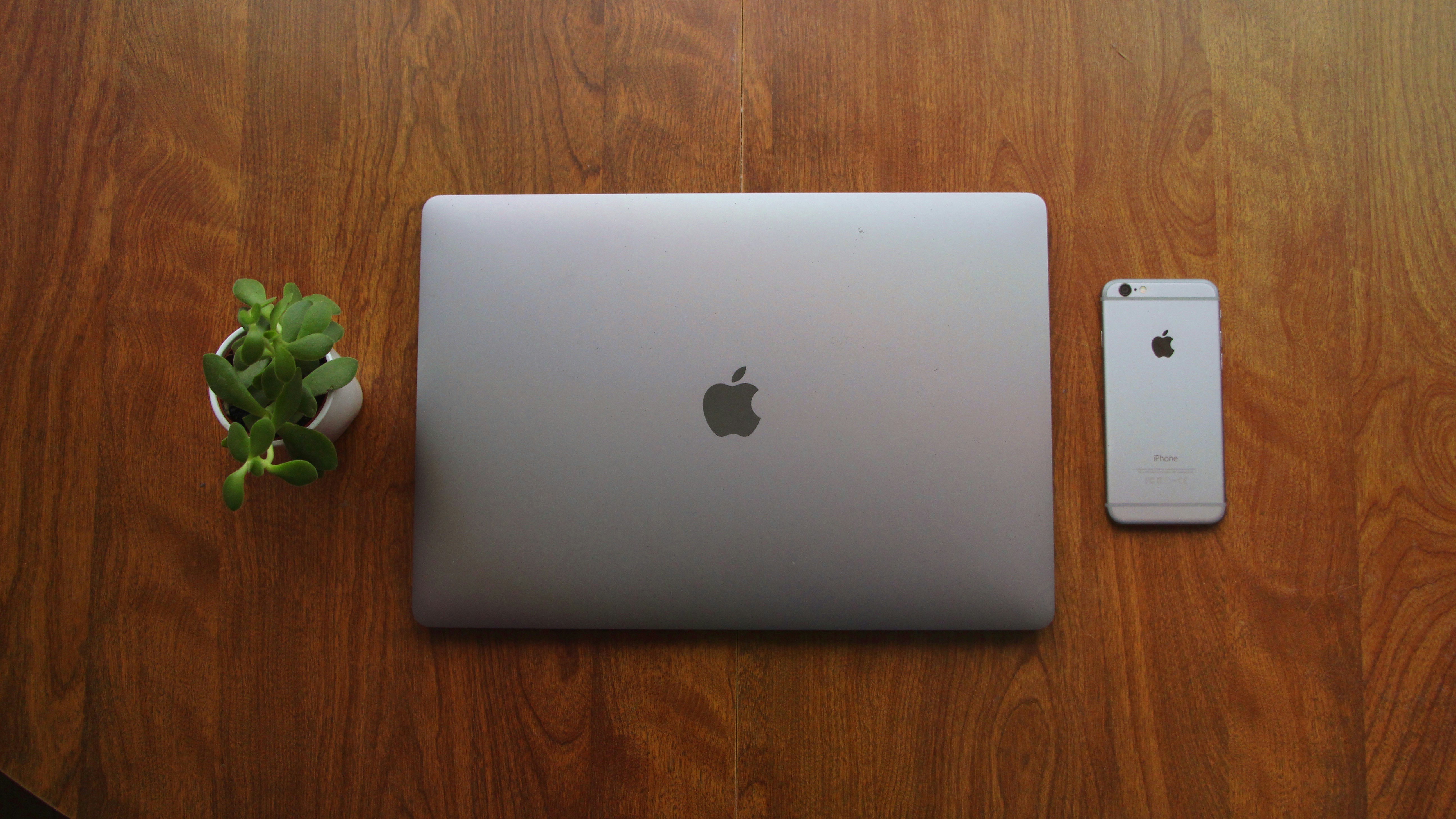 Free Unsplash photo from Marco Gugliucciello