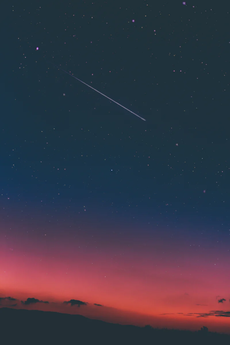 How do you feel about roleplaying as an animal character?