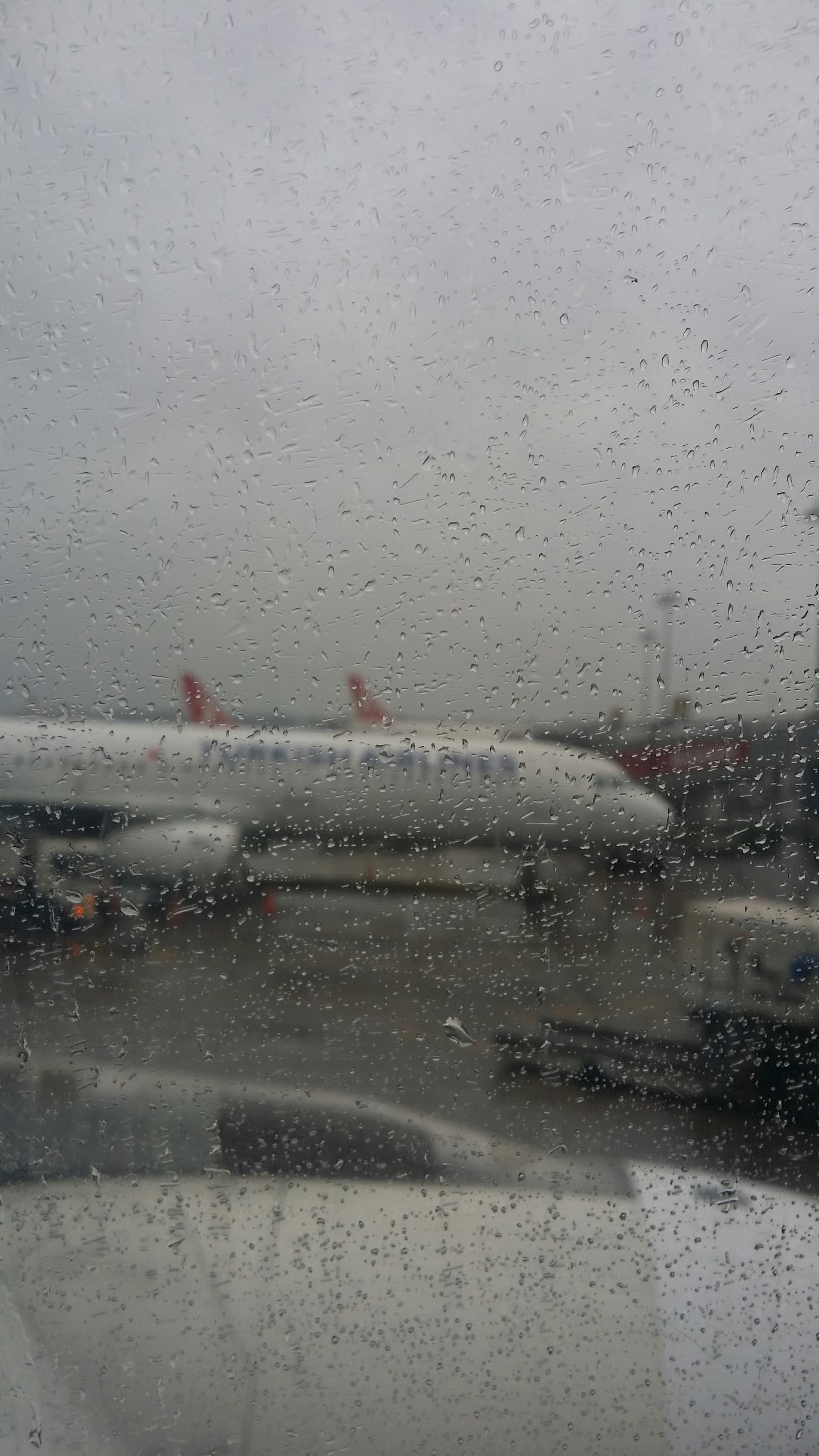 Free Unsplash photo from Seoyeon Park