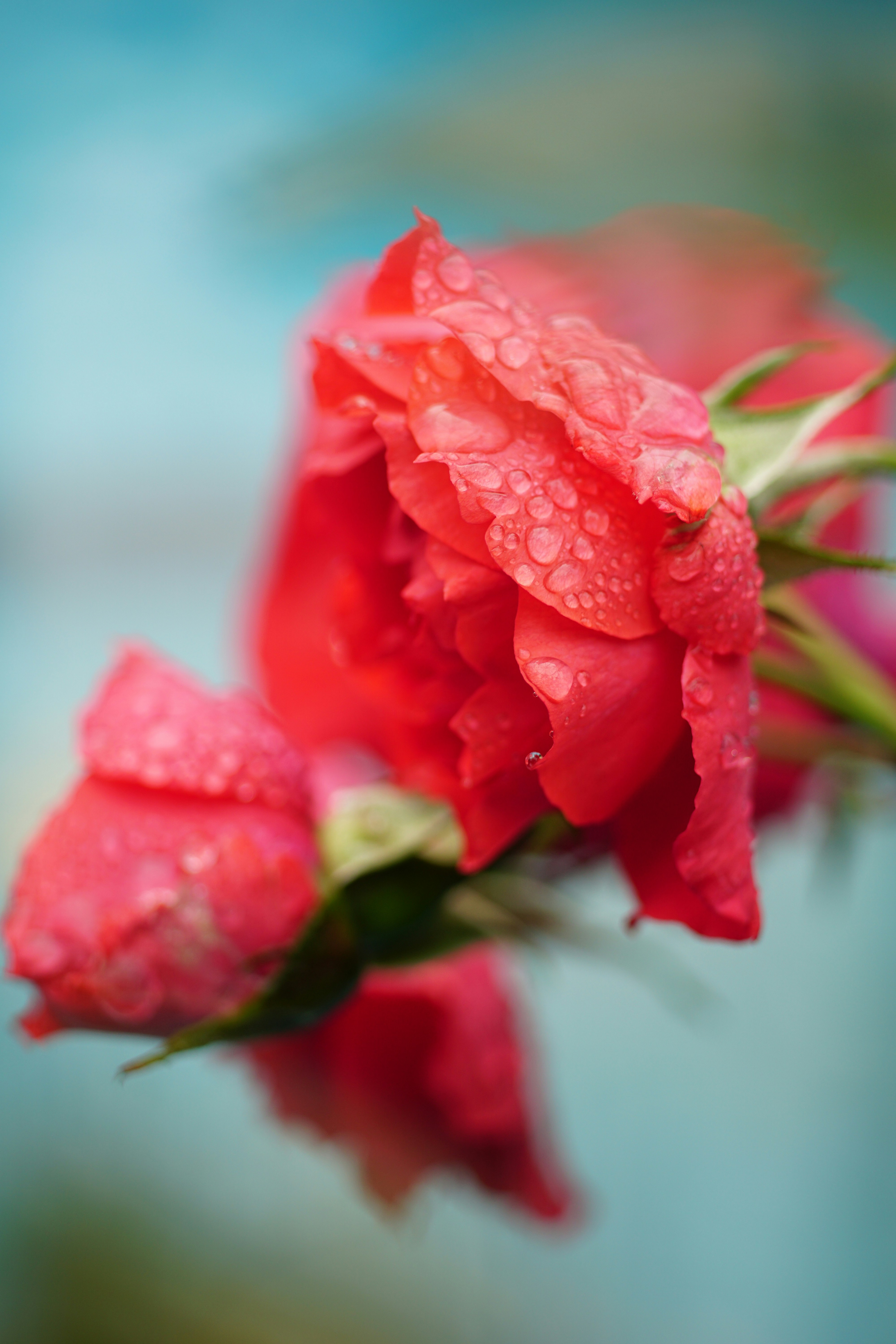 Free Unsplash photo from ken chan