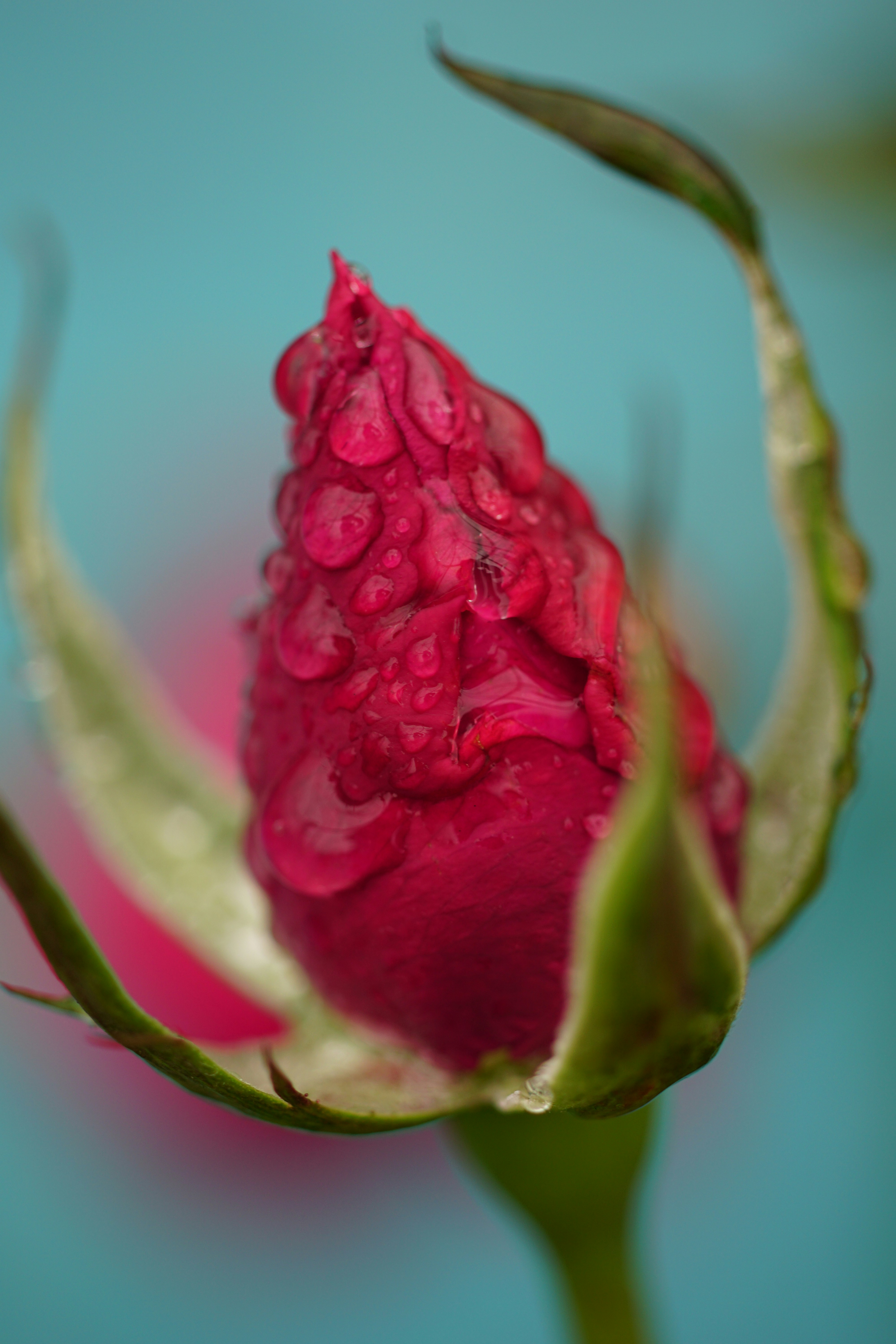 Free Unsplash photo from ken chan