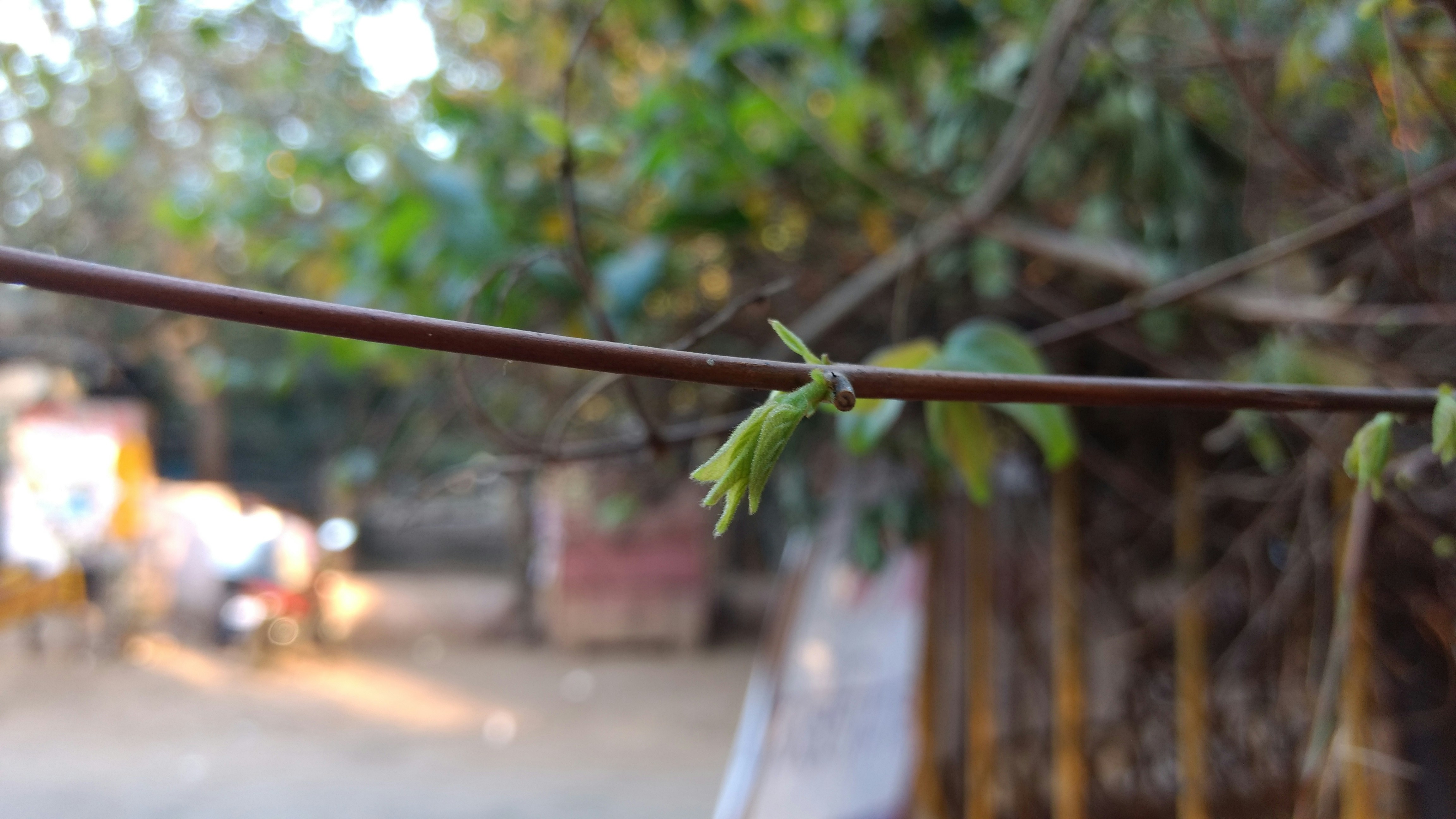 Free Unsplash photo from Abhinav Anand