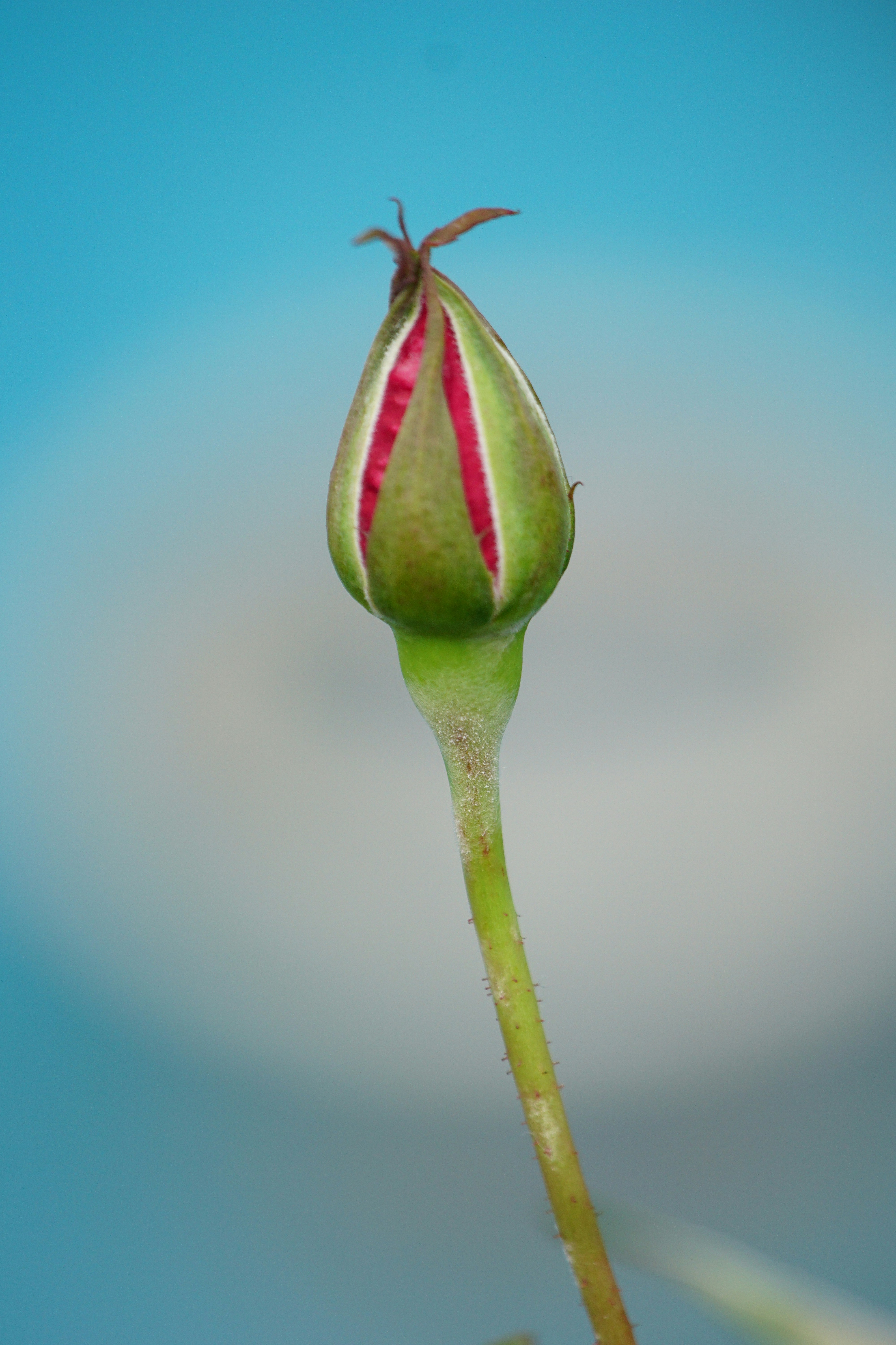 Free Unsplash photo from ken chan