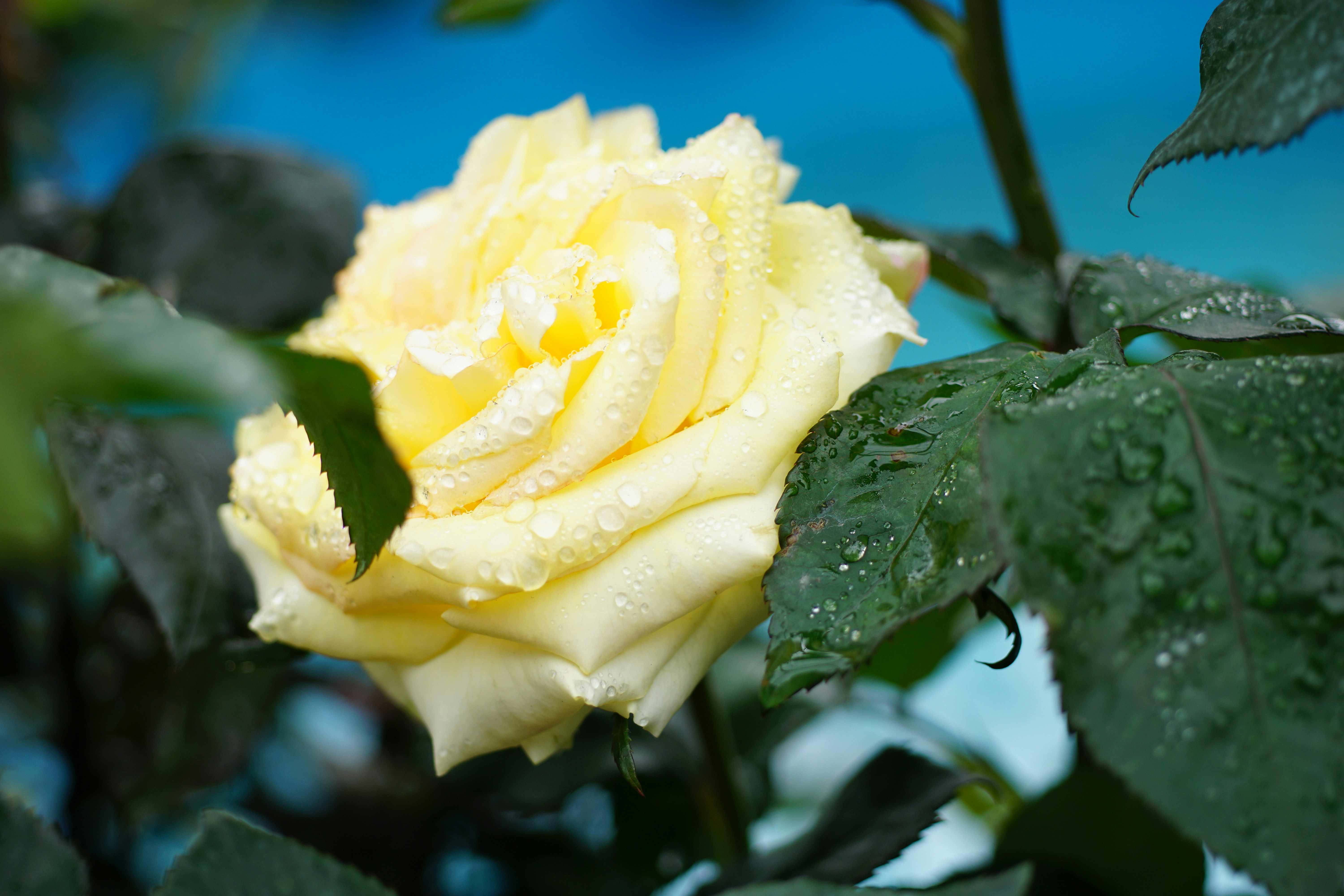 Free Unsplash photo from ken chan