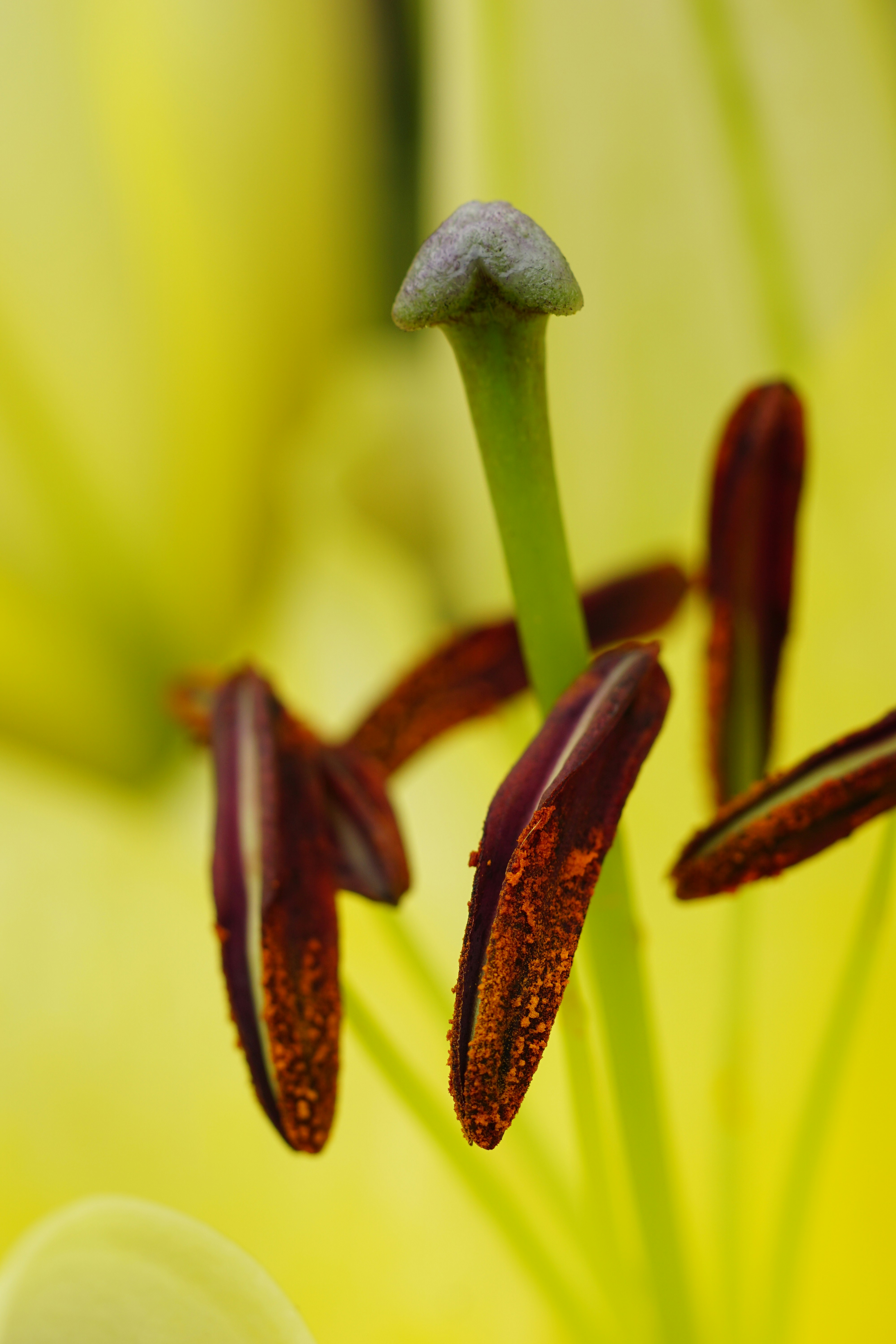 Free Unsplash photo from ken chan