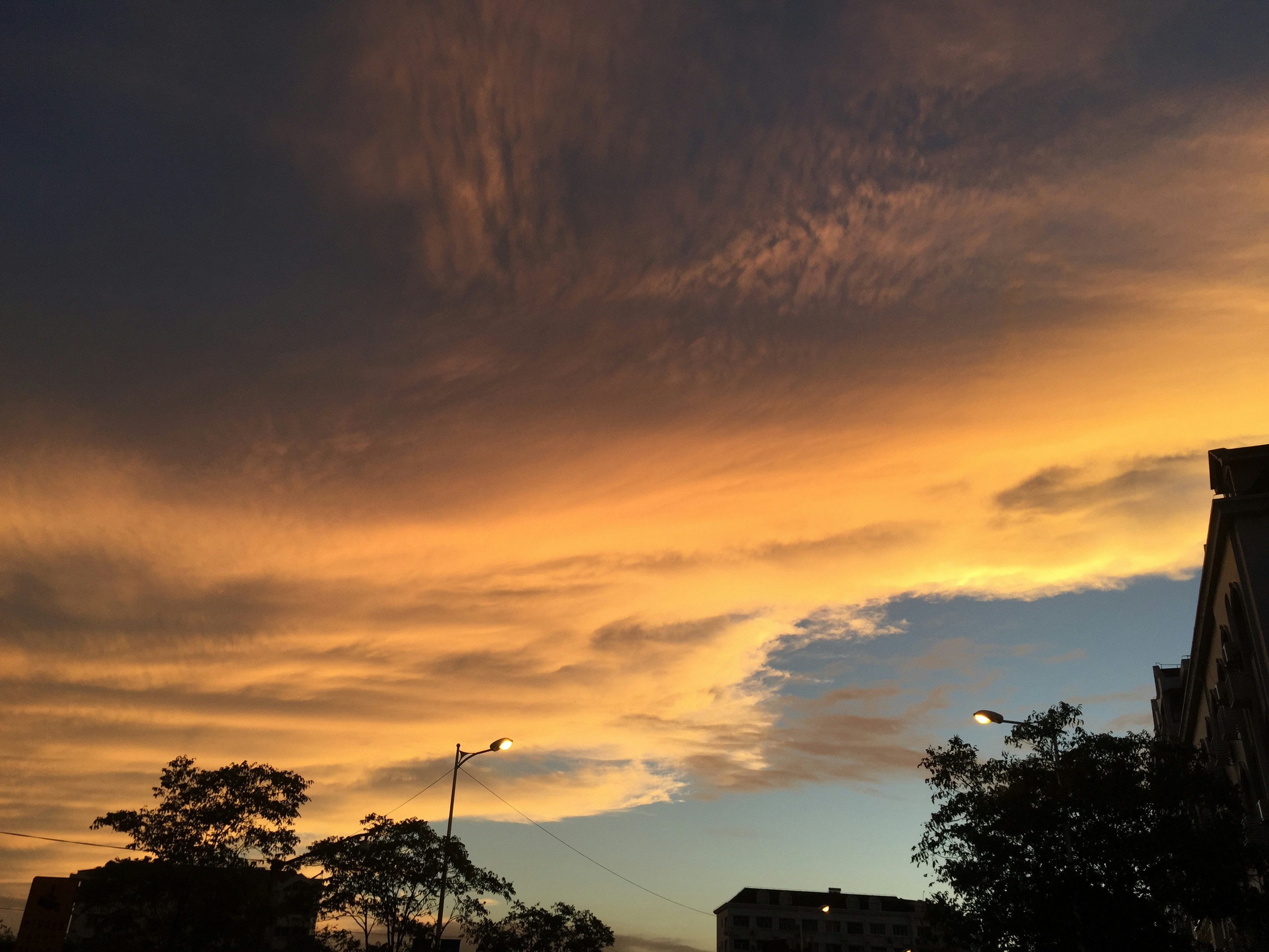 Free Unsplash photo from Niki Chen