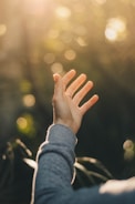 shallow focus photography of person raising hand