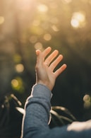 shallow focus photography of person raising hand