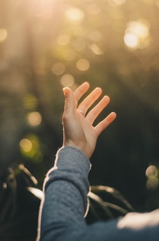 shallow focus photography of person raising hand