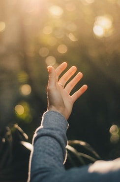 shallow focus photography of person raising hand