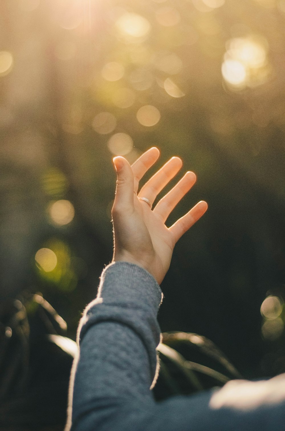 shallow focus photography of person raising hand