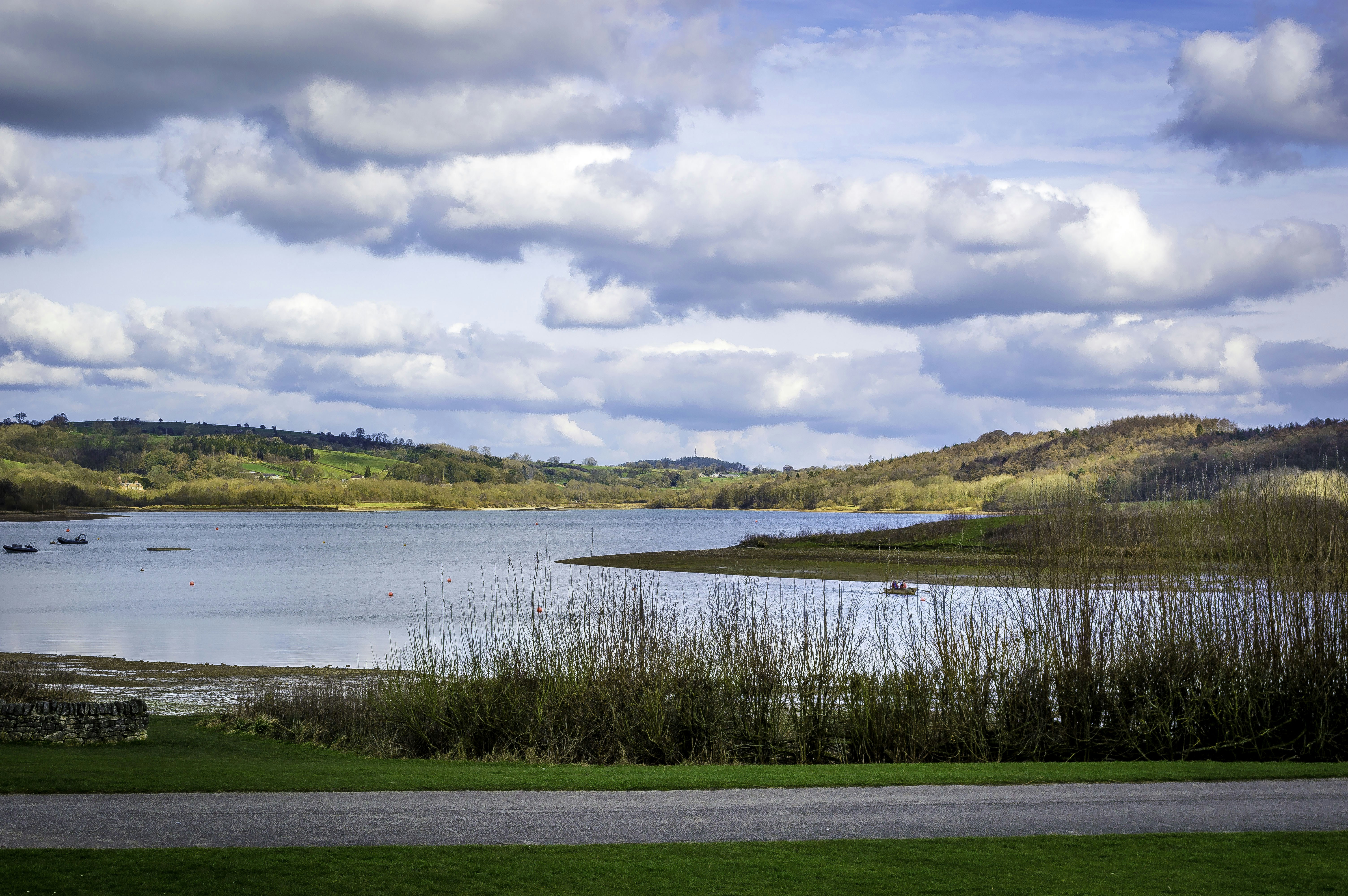 Free Unsplash photo from Adam Godsall