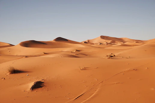 landscape photography of desert