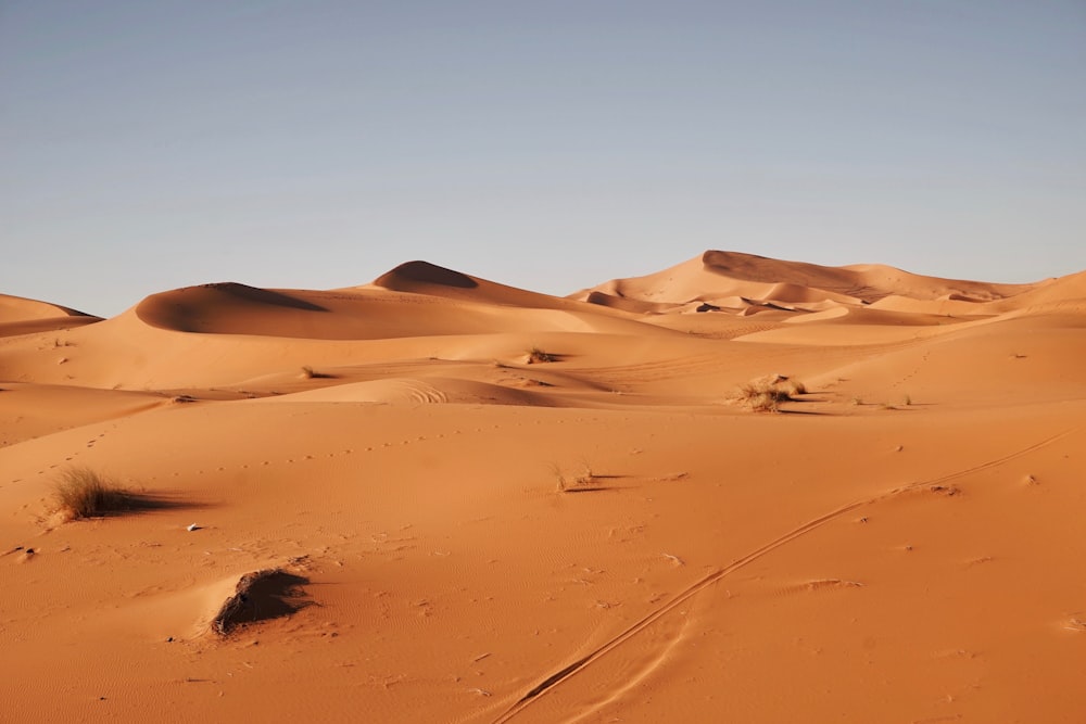 fotografia de paisagem do deserto