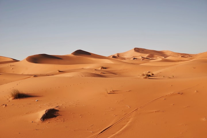 Sahara Desert: Tracing the Transformation from Green Oasis to Arid Wilderness