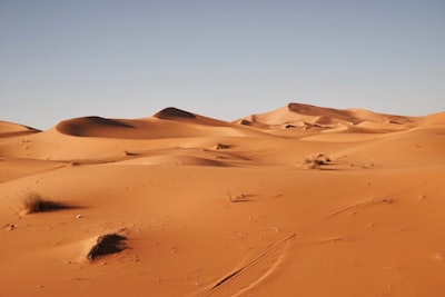 landscape photography of desert desert teams background