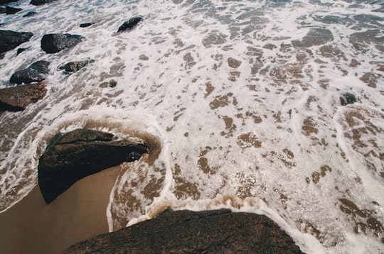 photo of Manchester-by-the-Sea Shore near Castle Island