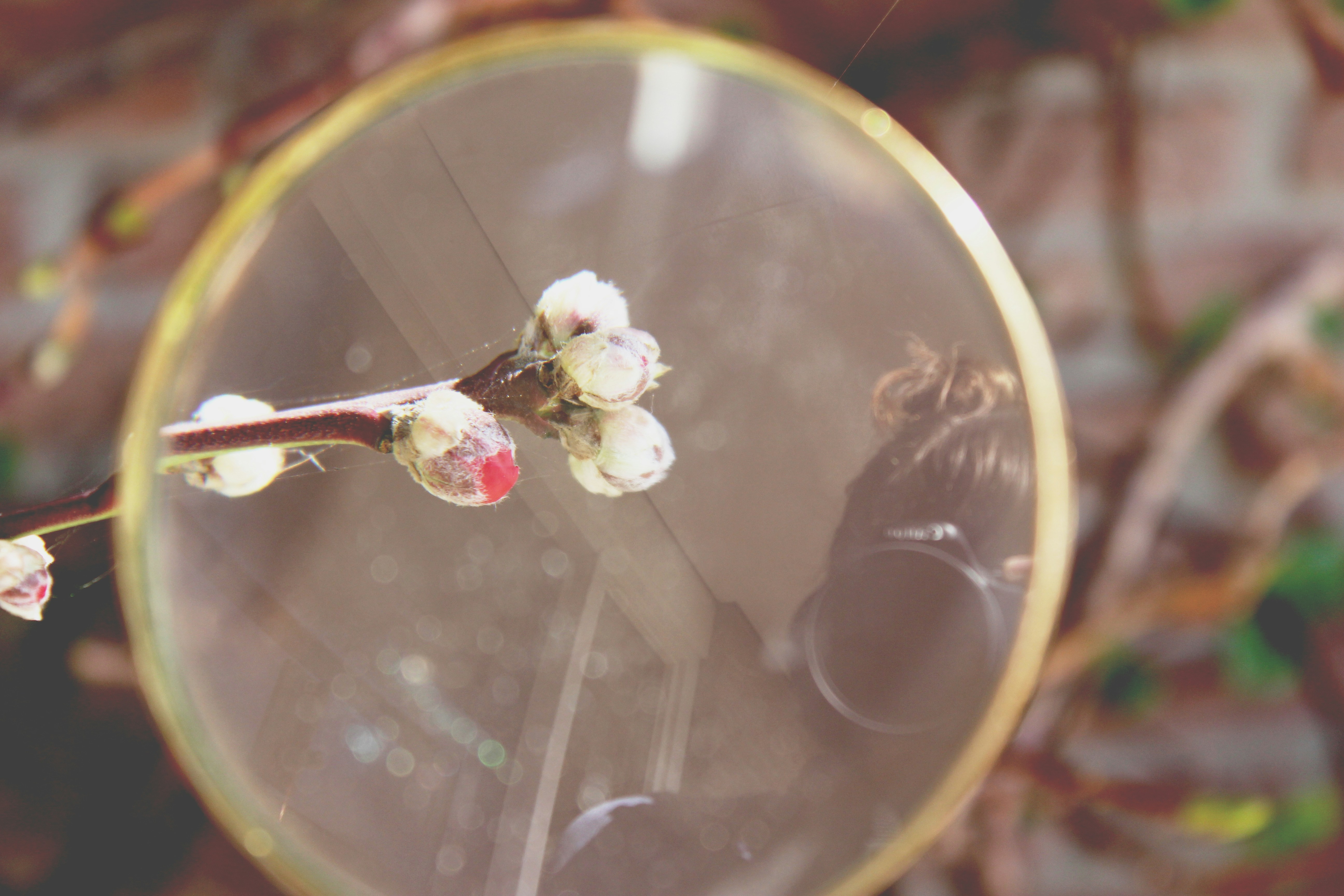 Free Unsplash photo from Fleur Treurniet