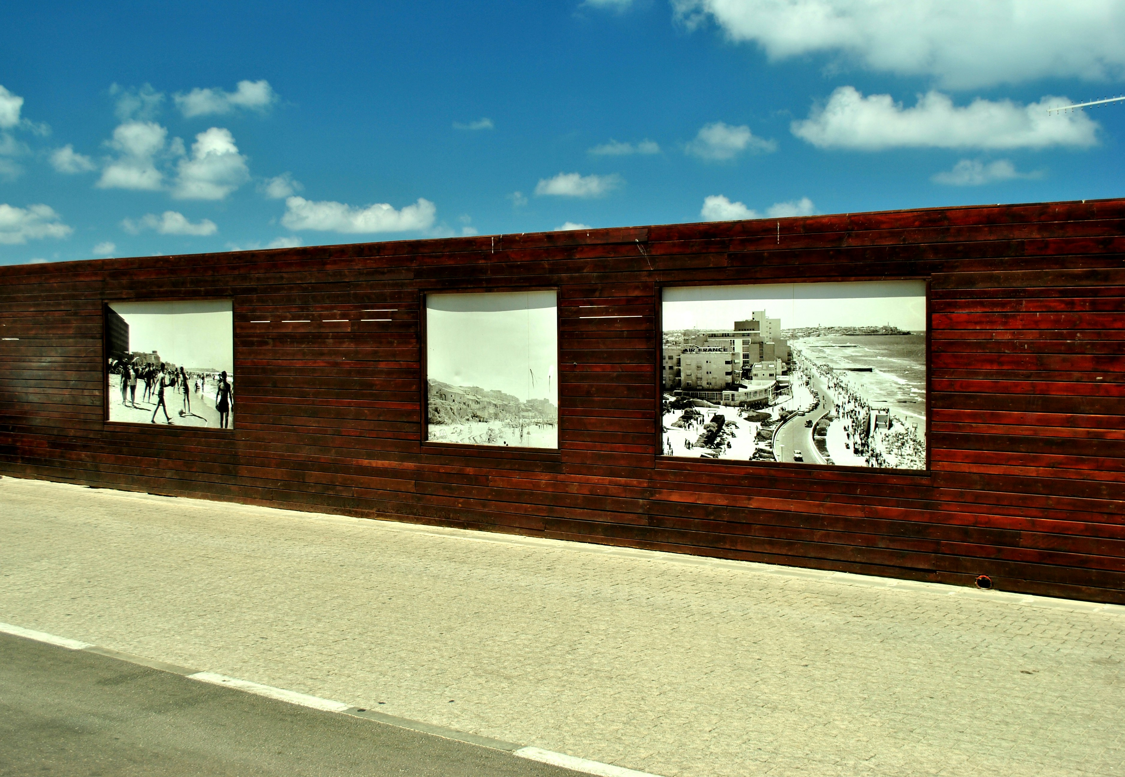 Free Unsplash photo from Vik Vik