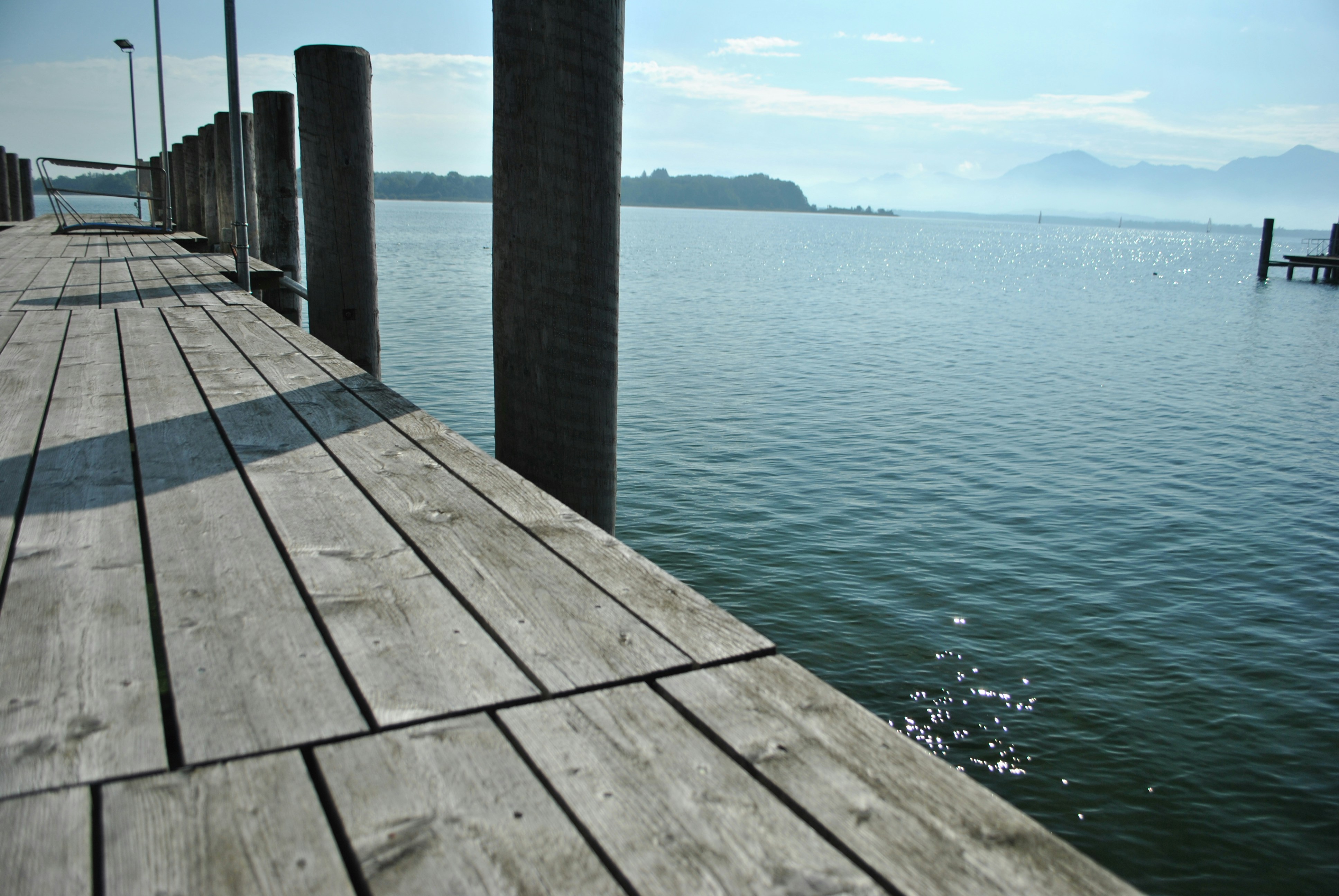 Free Unsplash photo from Vik Vik