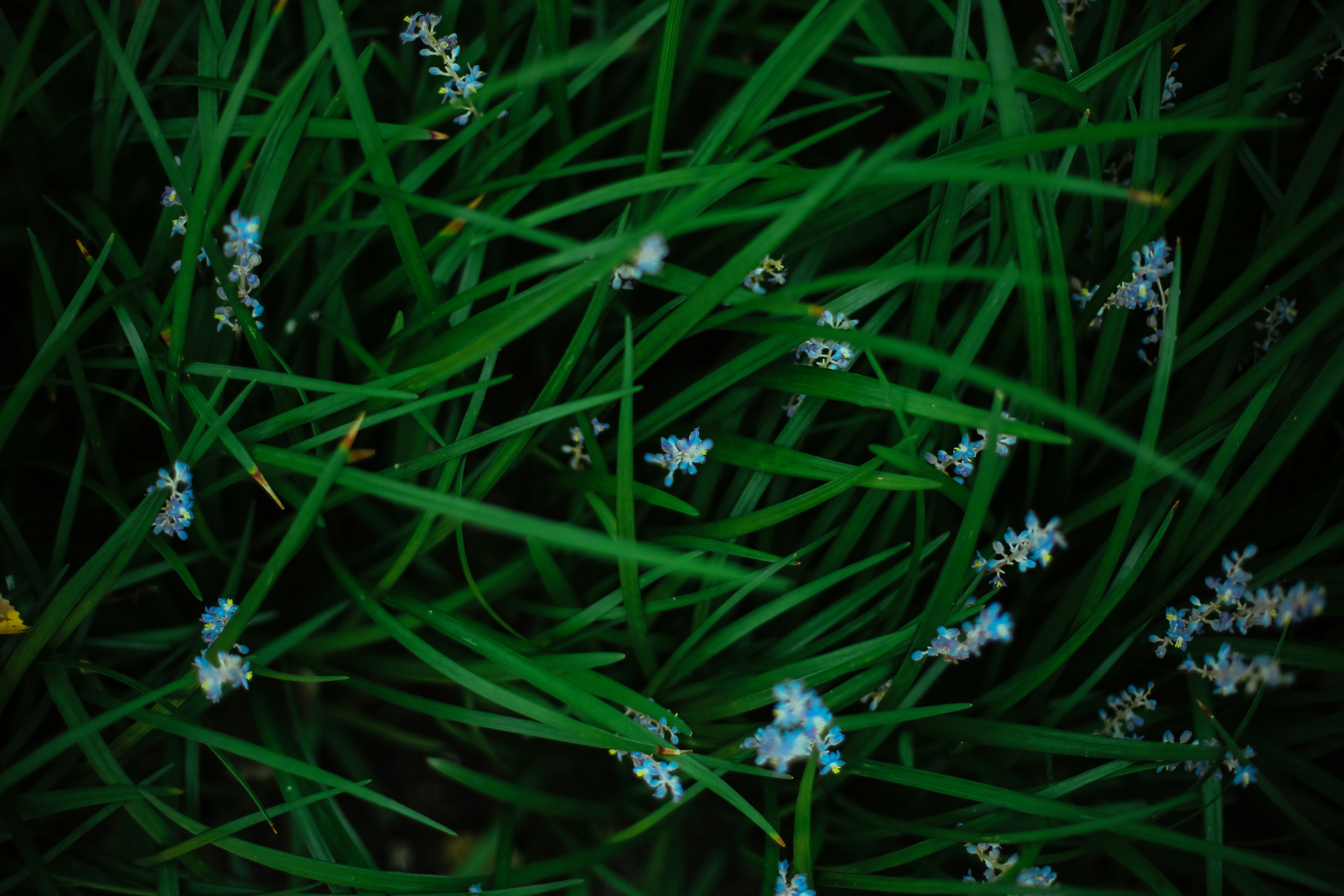 Free Unsplash photo from Jake Thacker