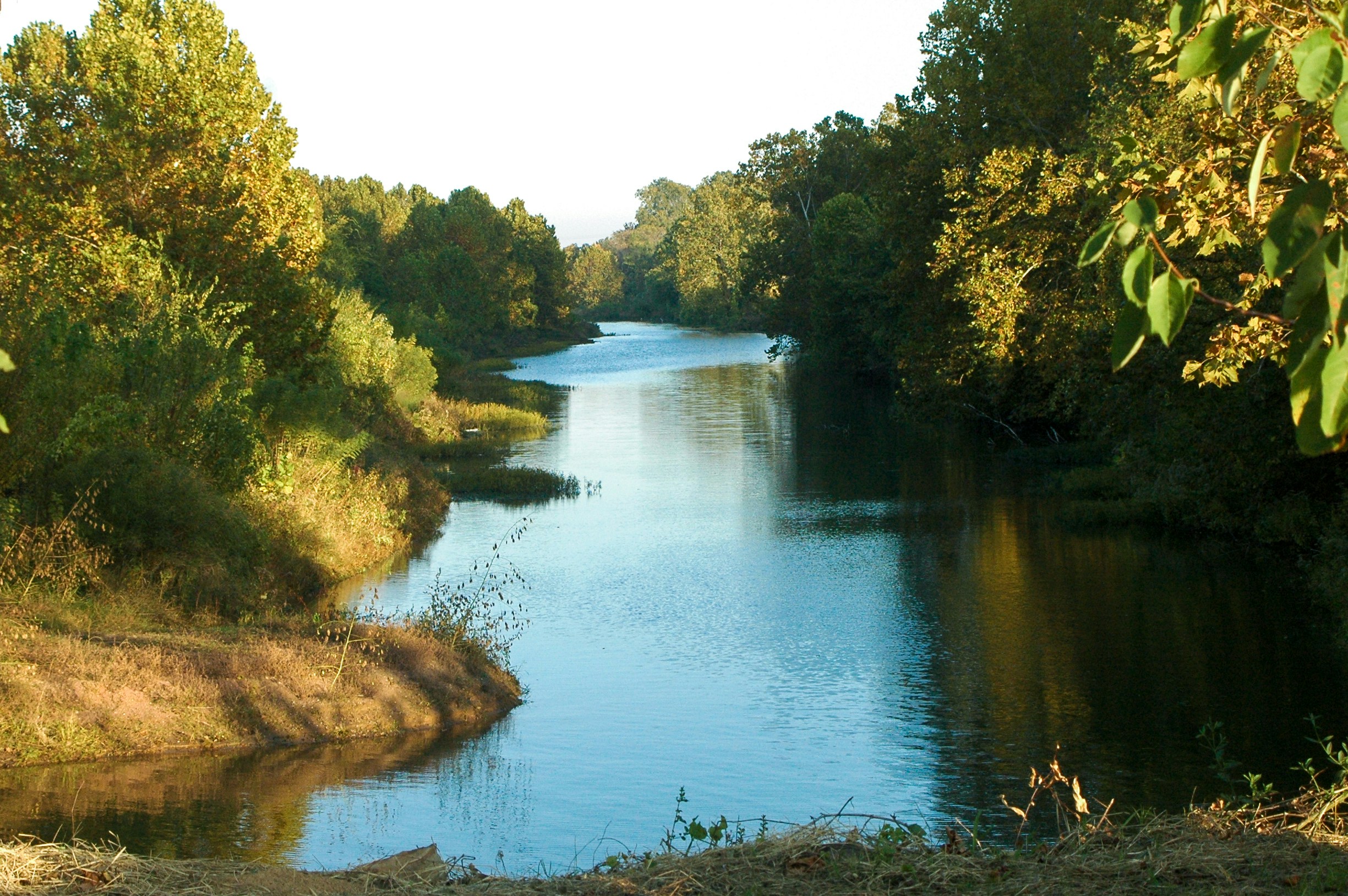 Free Unsplash photo from Tanya Hopper