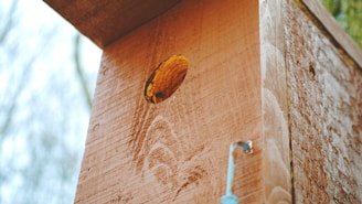 A wooden birdhouse made from high-quality materials.