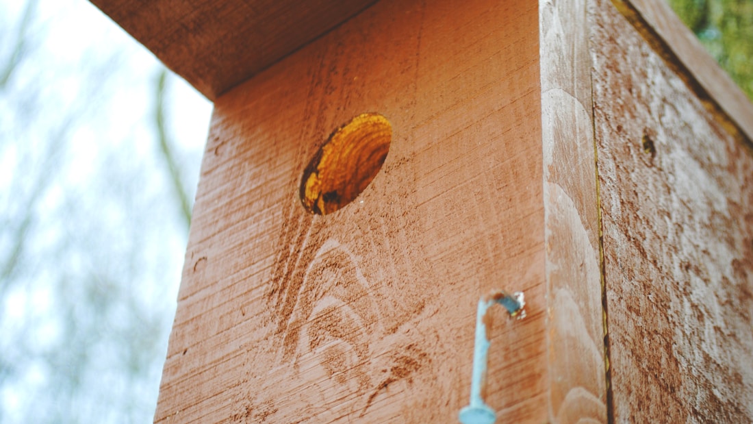 A wooden birdhouse is prominently featured, with a circular entrance hole that appears worn and aged. The surface of the birdhouse is rough and textured, with visible wood grain patterns. A small part of a blue rope or string is attached near the bottom, adding a splash of color.