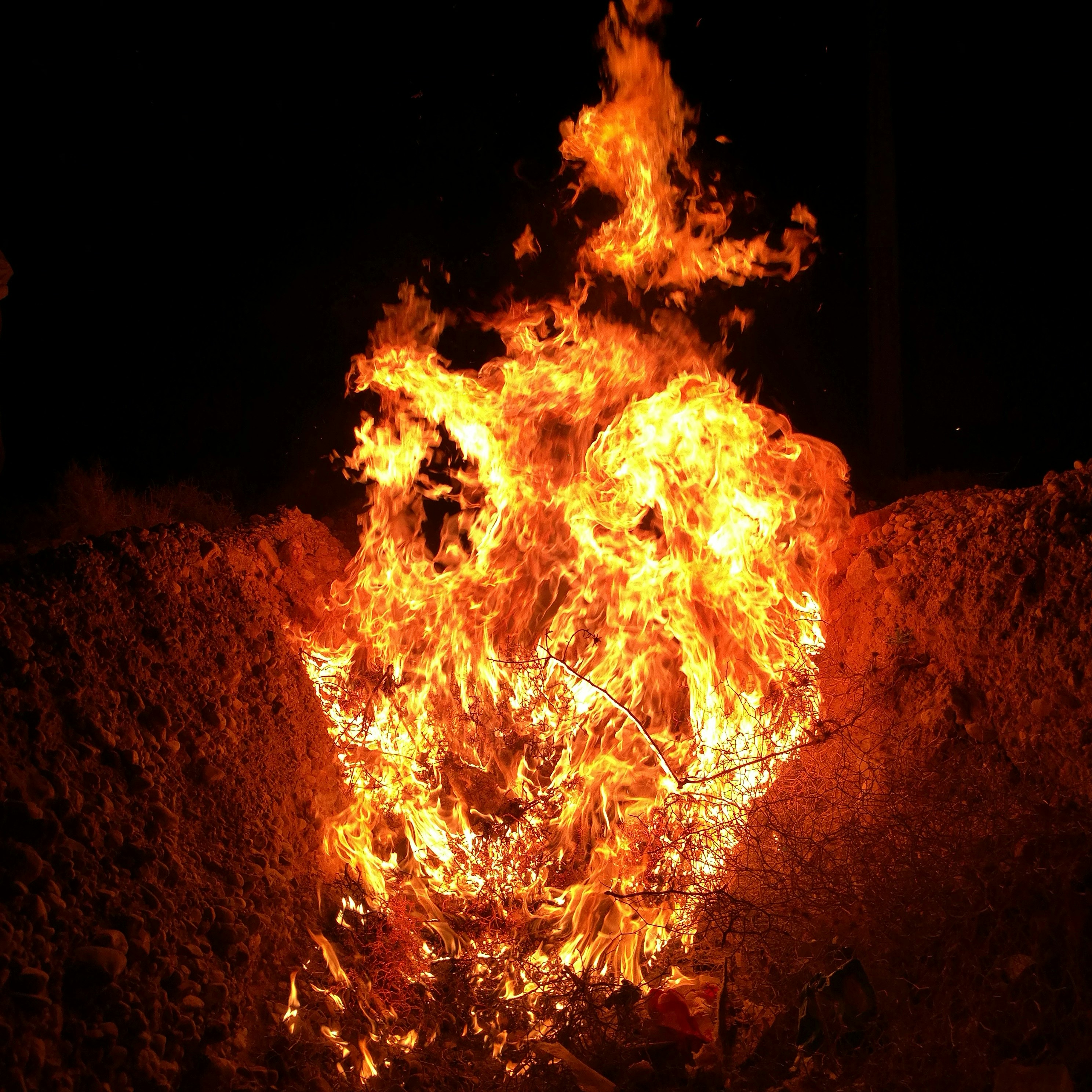 Free Unsplash photo from dianoush afshar