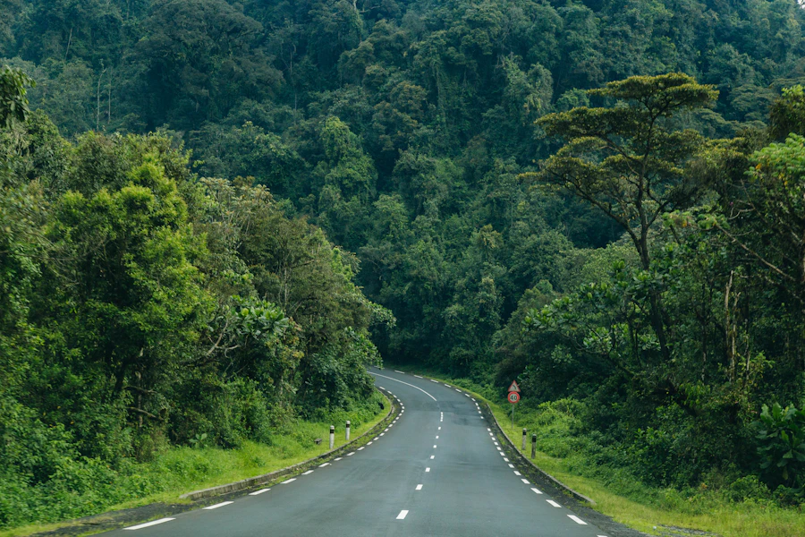 A road through misty forest hills in Rwanda