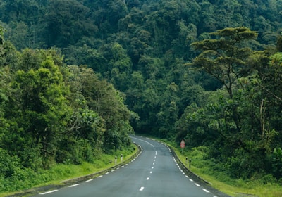 Ruanda Rundreise Nyungwe Nationalpark Straße im Regenwald