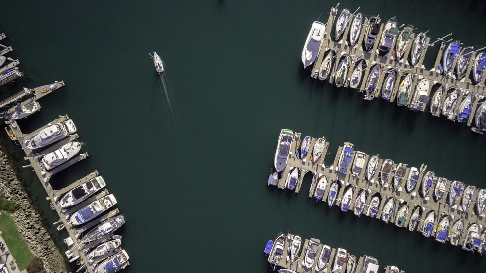 aerial photography of docked boats