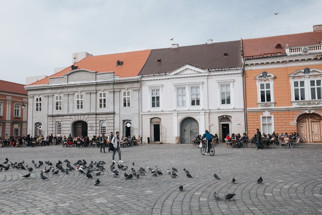 Town photo spot TimiÈ™oara Romania