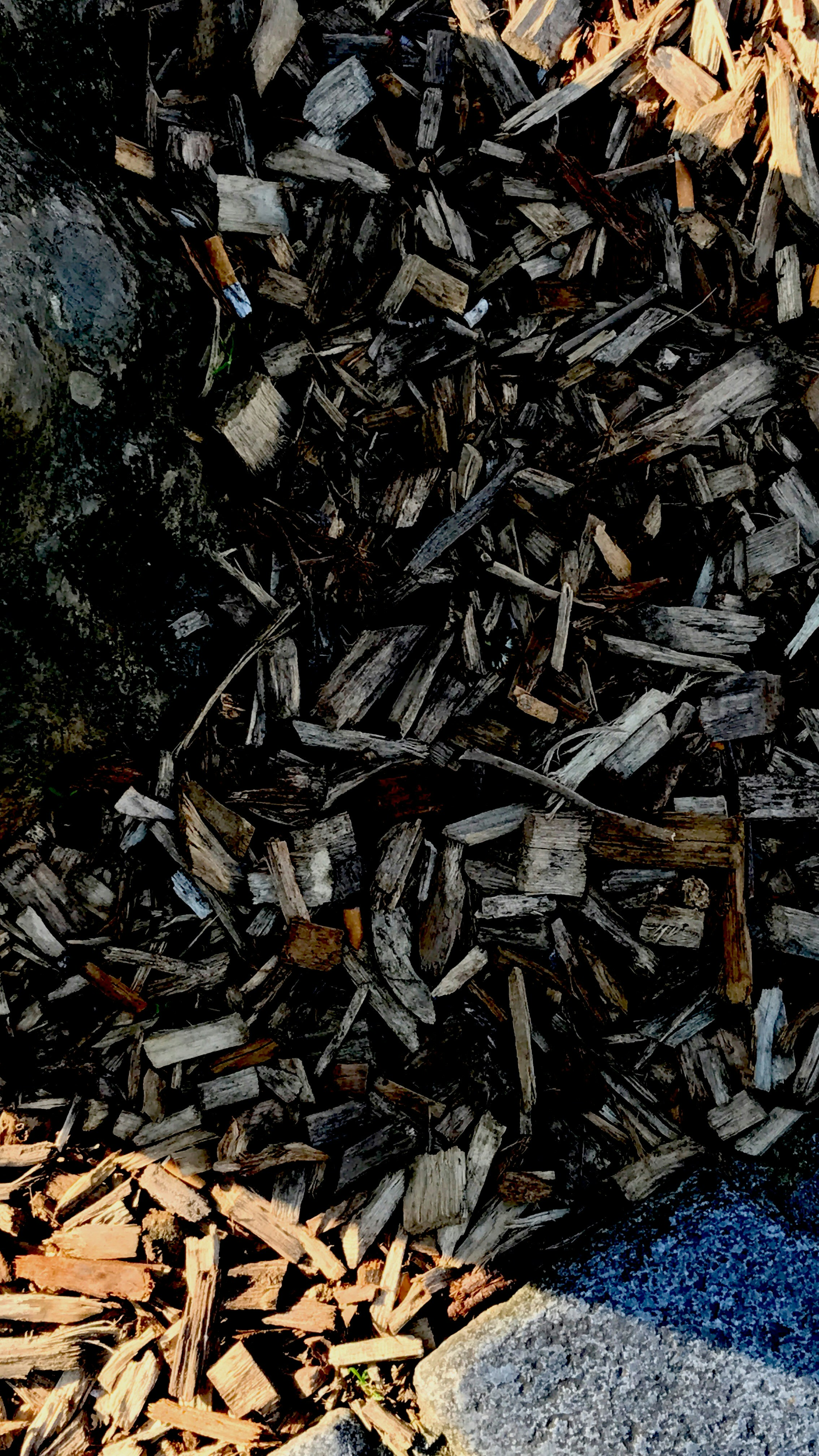 Free Unsplash photo from Thomas Gossart