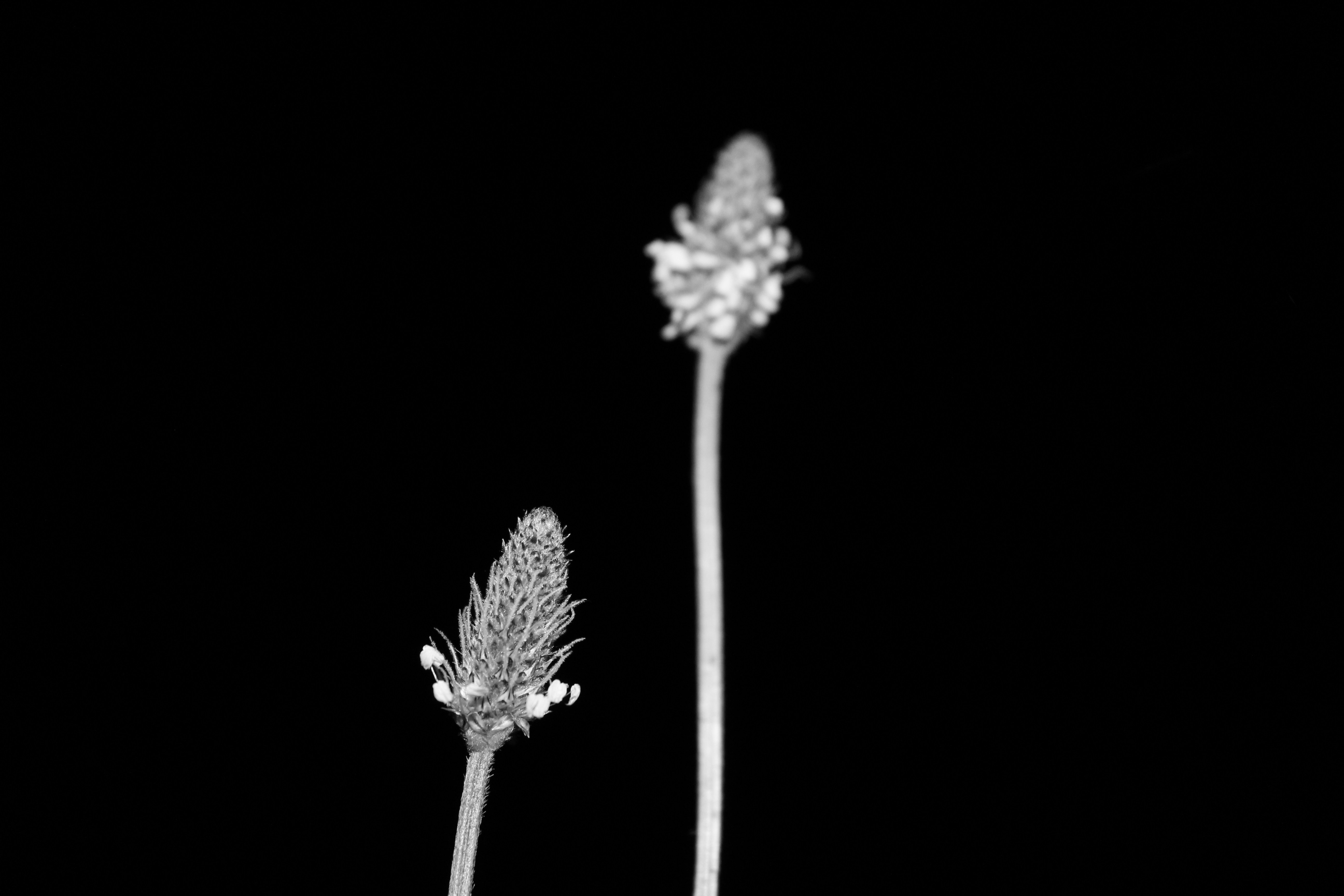 Free Unsplash photo from Jorg Karg