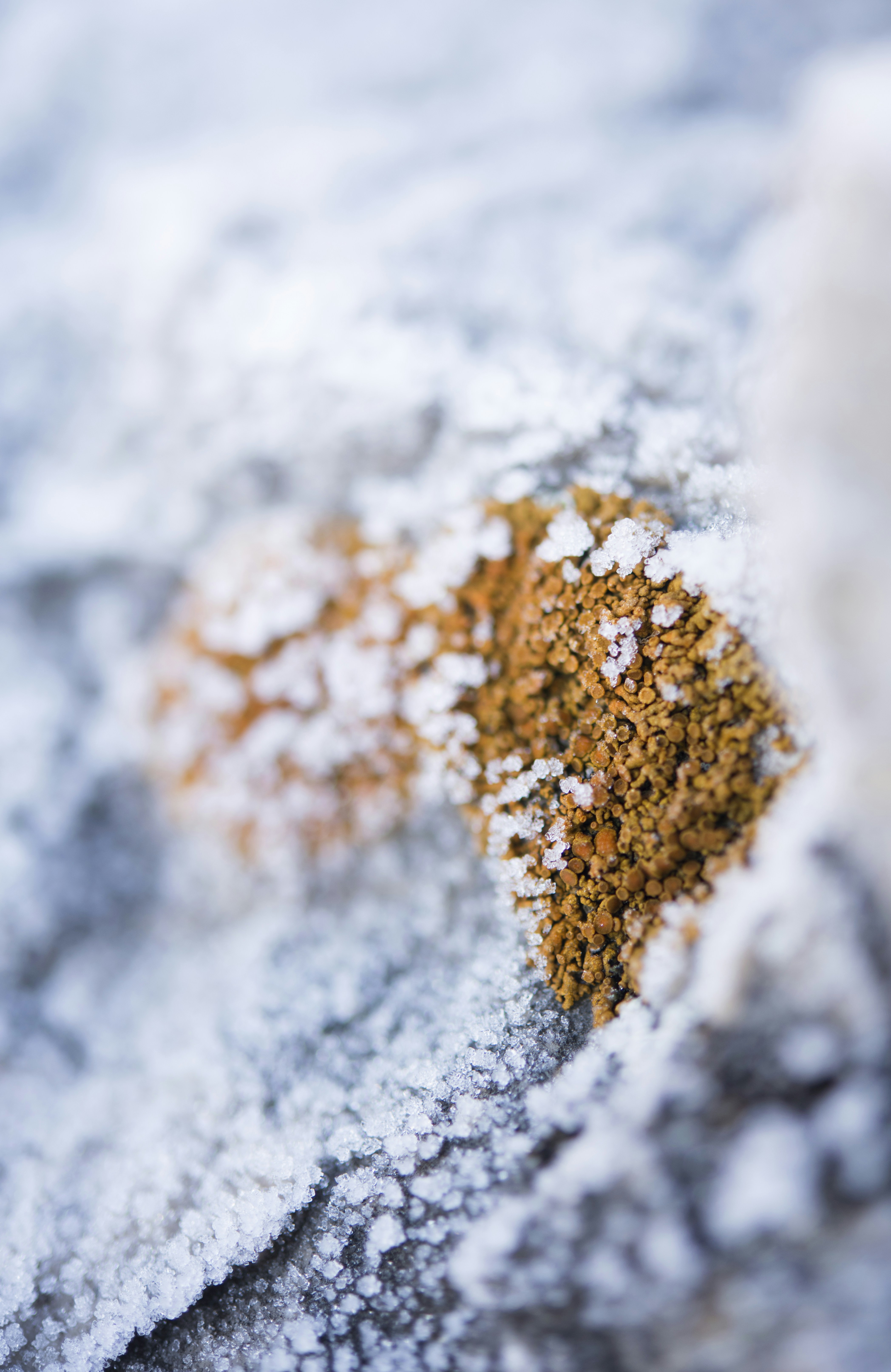 Free Unsplash photo from PICSELI