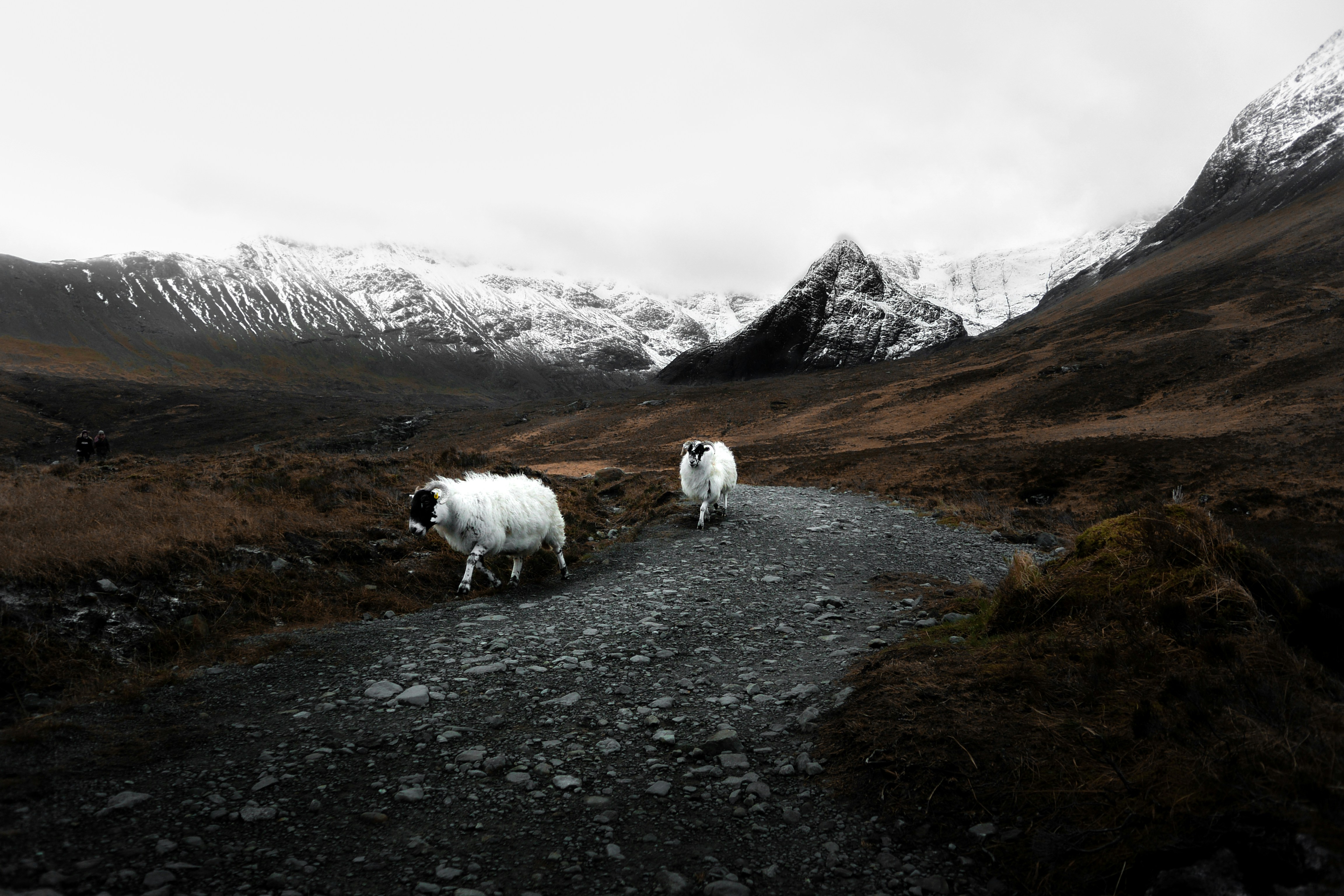 Free Unsplash photo from Jack Cairney