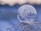 shallow focus photography of bubble on leaves