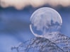 shallow focus photography of bubble on leaves