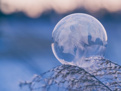 shallow focus photography of bubble on leaves frozen zoom background