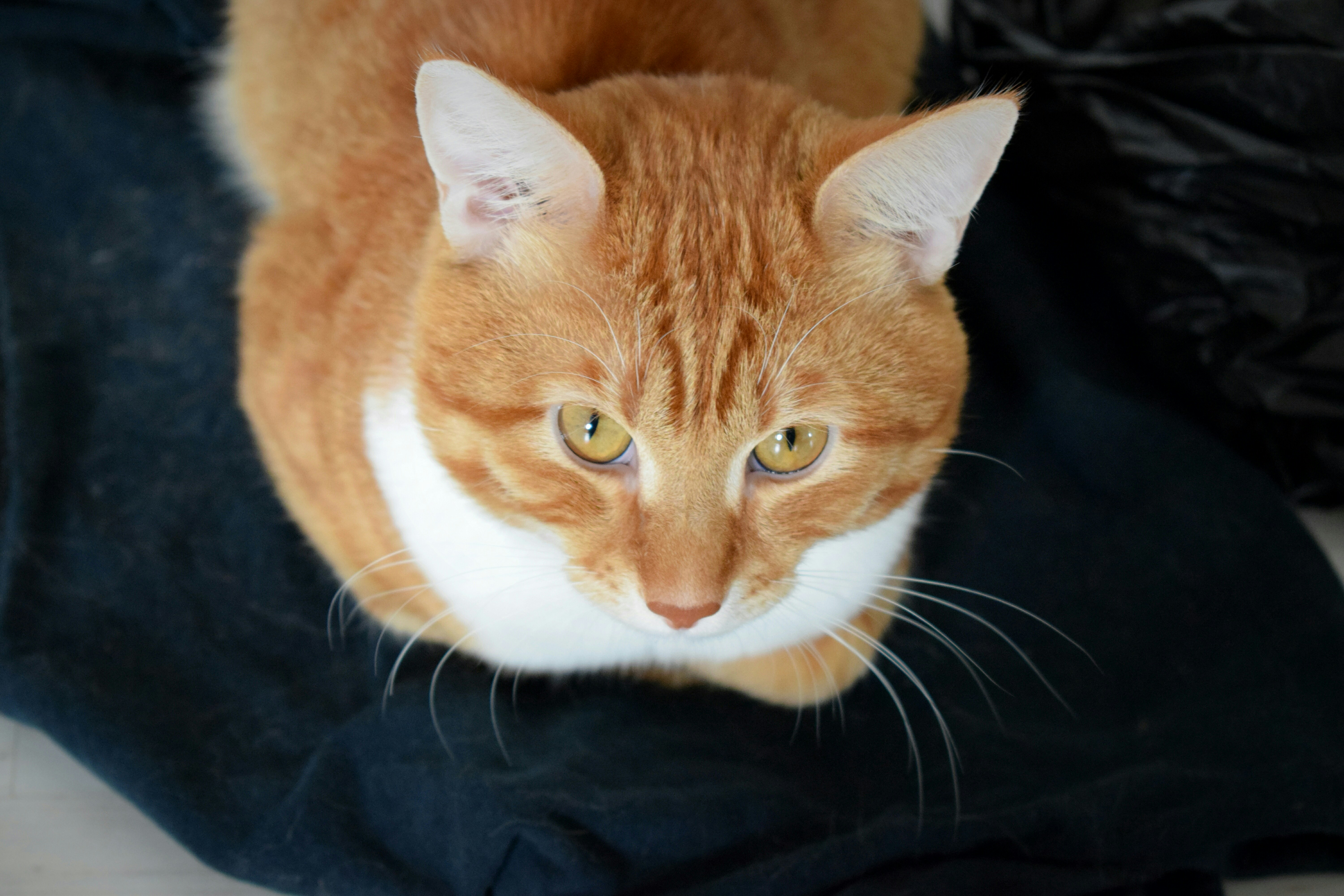 Free Unsplash photo from Vladislav  Bedyaev