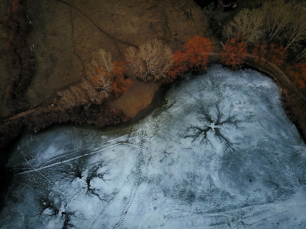 Blick aus der Vogelperspektive auf den Fluss in der Nähe hoher Bäume