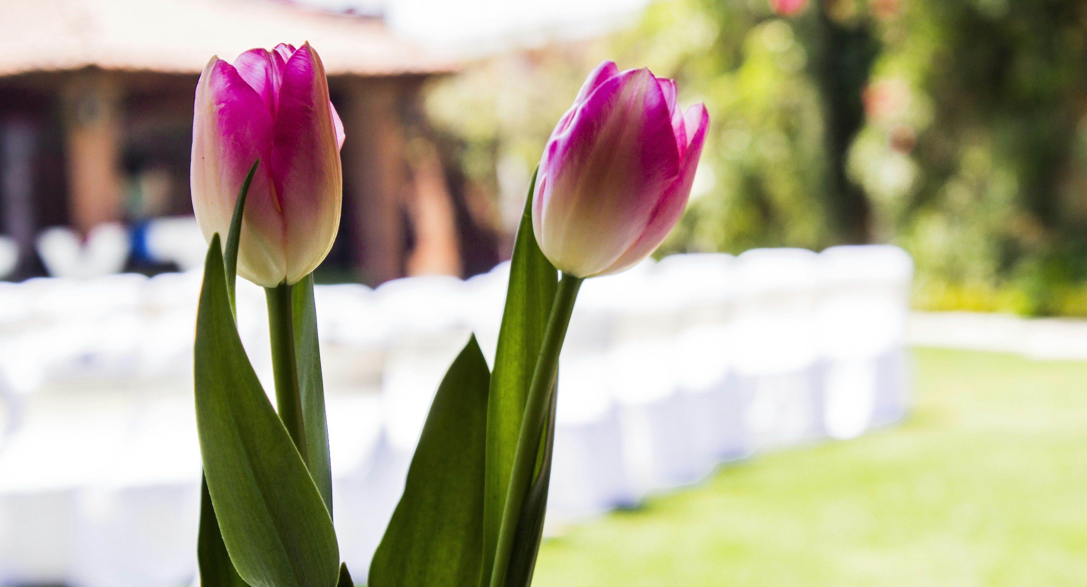 Free Unsplash photo from Caleb Hernandez Belmonte