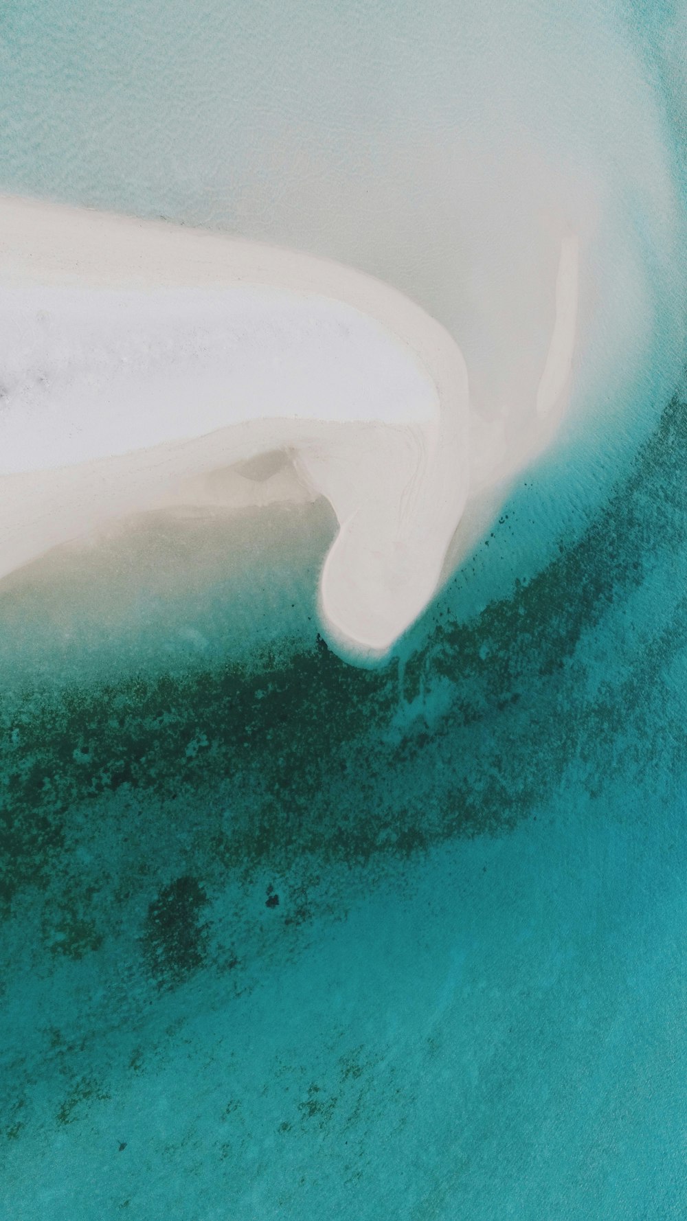 Ein weißes Surfbrett, das aus dem Wasser ragt