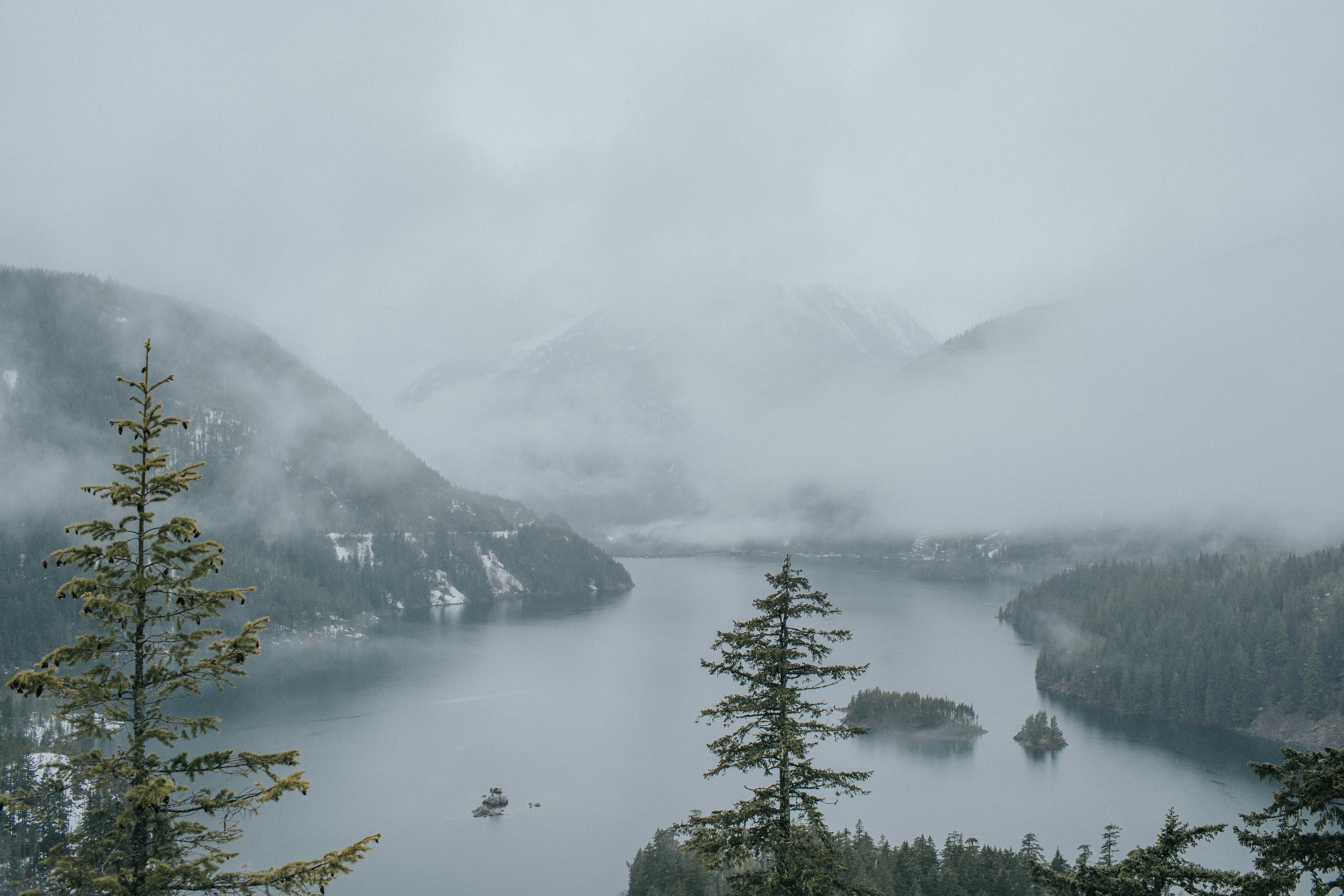 aerial view photography of lake surrounded by pine trees, Mist and Mountains