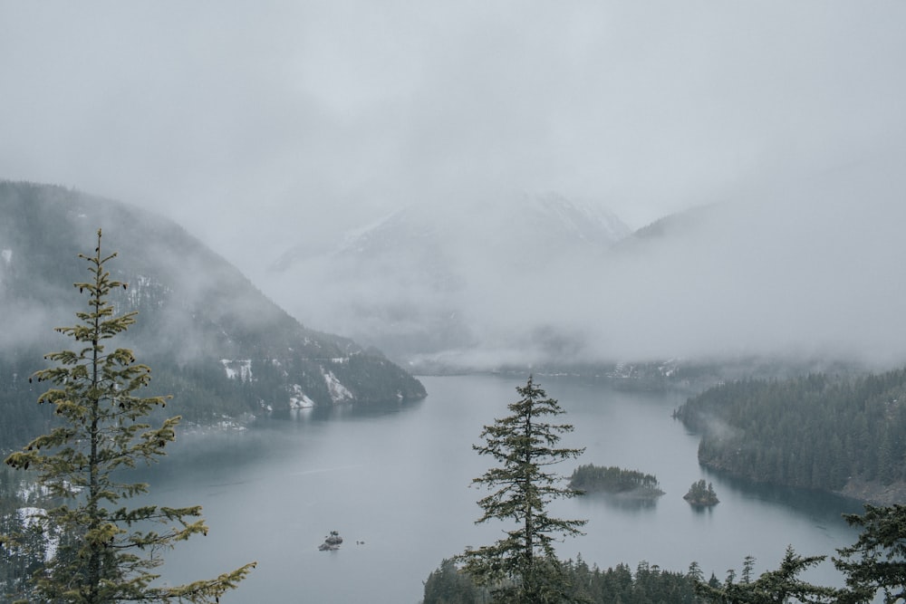 aerial view photography of lake surrounded by pine trees