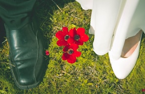A stylish pair of shoes placed next to a blooming flower.