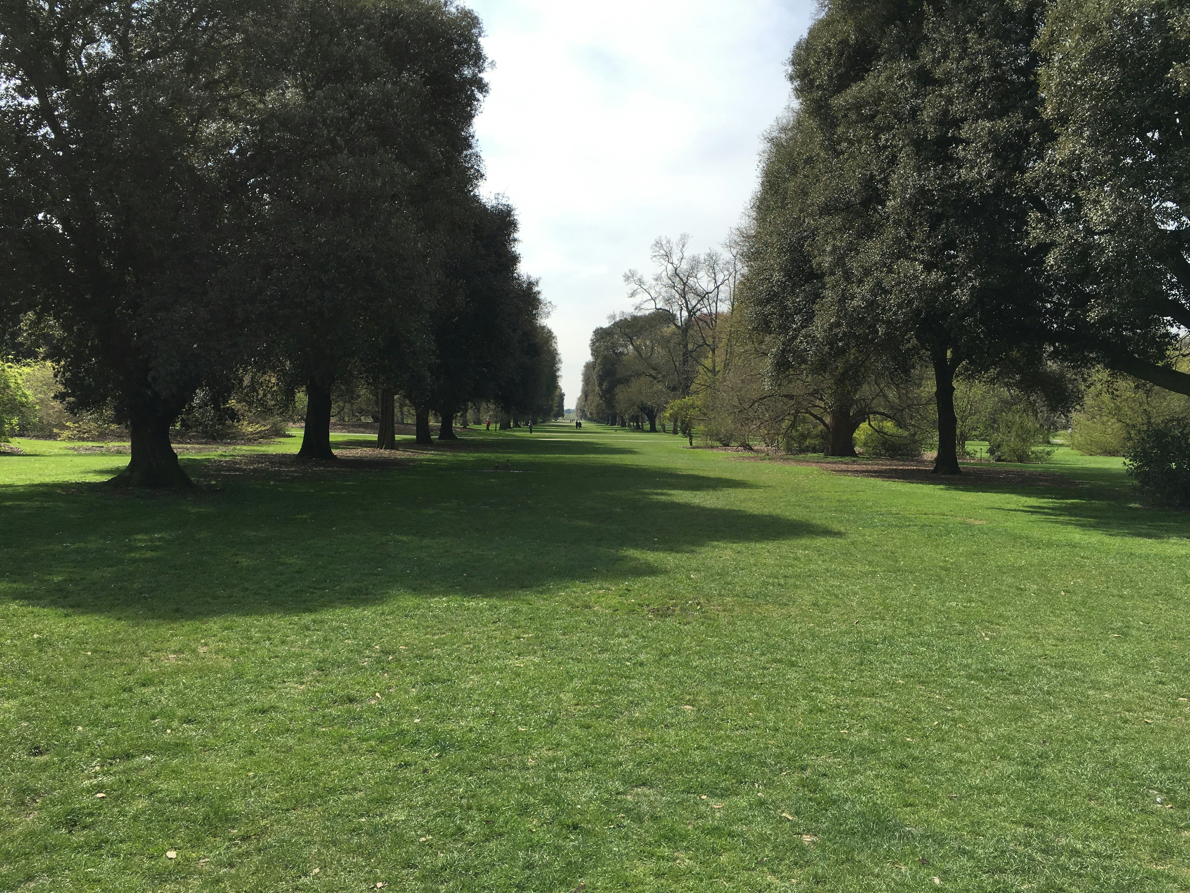 Free Unsplash photo from Varna Singh