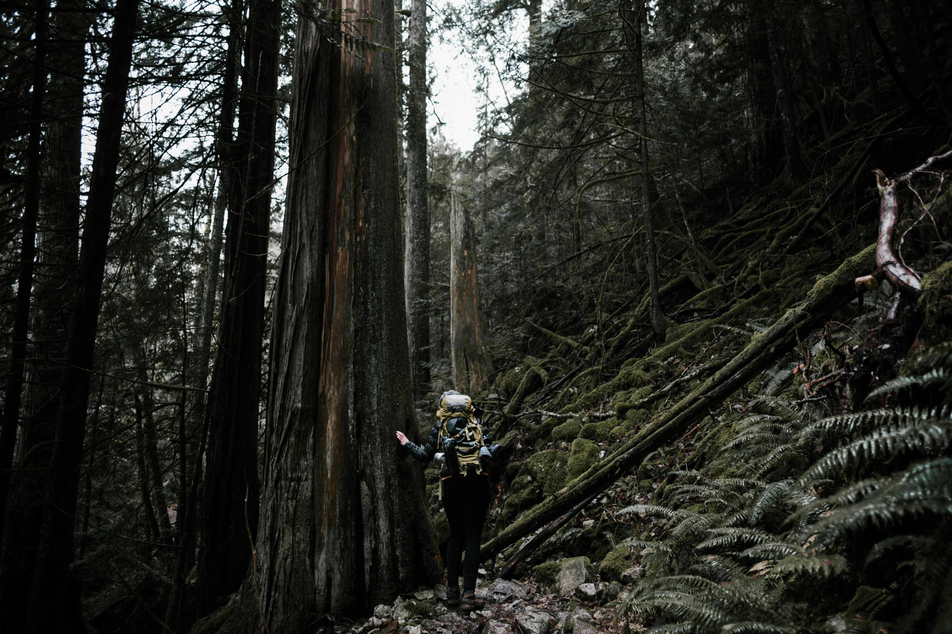 Free Unsplash photo from Alexa Mazzarello